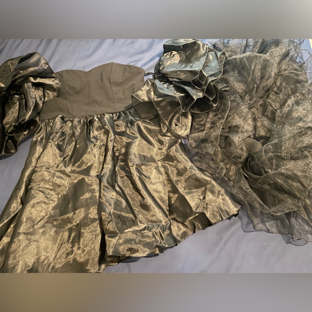 Party Dress and Petticoat